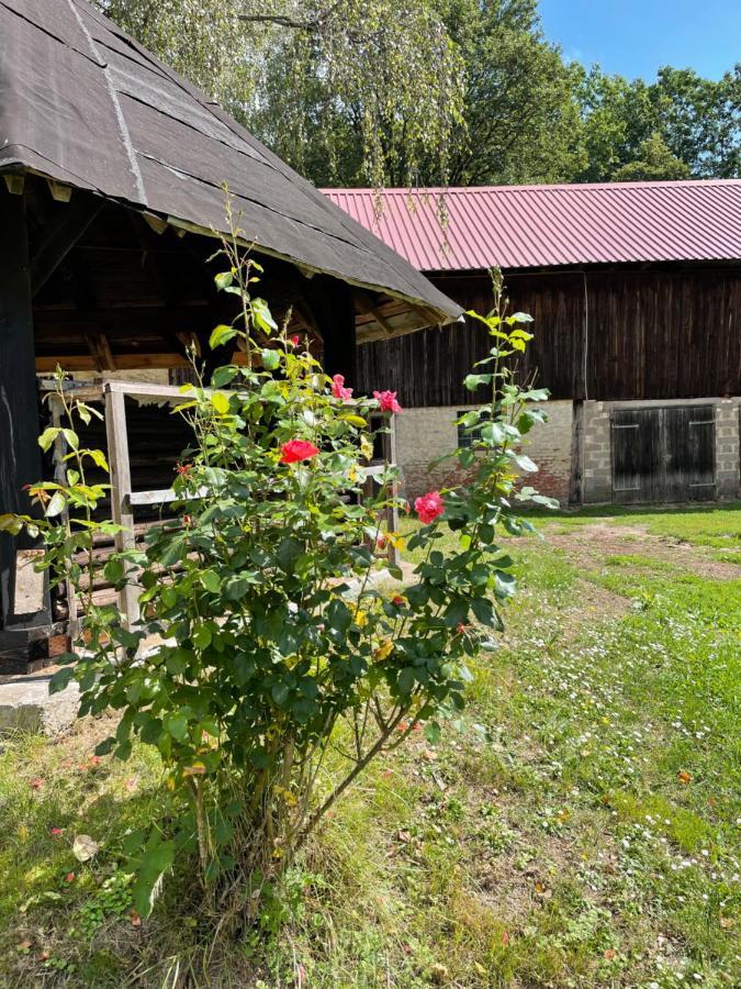 Apartmán Schellnhof Forsthaus Am Waldrand Nidda Exteriér fotografie